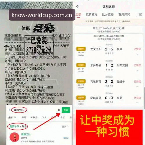 意大利联赛中锋市场暗流涌动，雷吉亚纳补强逻辑全解析